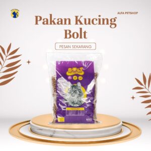 Kucing Murah Di Tasikmalaya